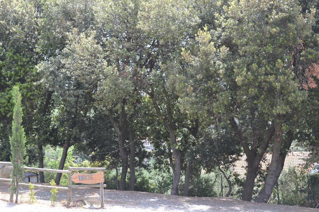 Agriturismo La Ghiraia Santa Luce Buitenkant foto