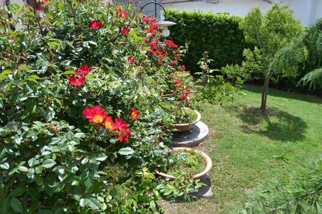 Agriturismo La Ghiraia Santa Luce Buitenkant foto